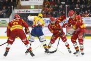 TIGERS - KLOTEN