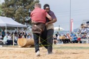 SOLOTHURNER KANTONAL SCHWINGFEST