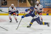 DAVOS - ZSC