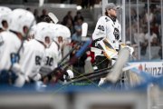 FIALA ALLSTARS - ZSC