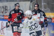 BASEL - HCC
