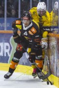 SCB - AJOIE