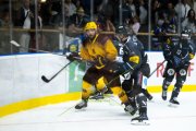 FRIBOURG - GENF