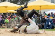 BASELSTAEDTISCHER SCHWINGERTAG