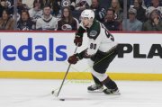 WINNIPEG - ARIZONA