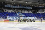 AMBRI - KLOTEN