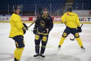 TRAINING SCHWEDEN