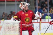 TIGERS - ZSC