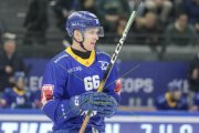 ZUG - TIGERS