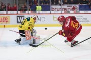 TIGERS - BERN