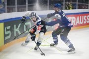 FRIBOURG - NITRA