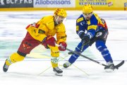 FRIBOURG - TIGERS