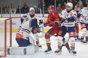 TIGERS - ZSC