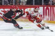 LAUSANNE - MOUNTFIELD