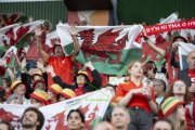 FRANKREICH - WALES