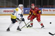 AMBRI - TIGERS