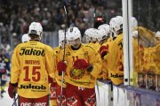 AMBRI - TIGERS