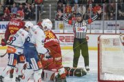 TIGERS - ZSC