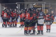 BASEL - HCC