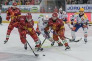 TIGERS - ZSC