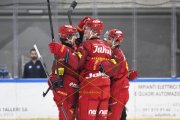 AMBRI - TIGERS
