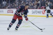 WINNIPEG - ARIZONA