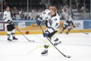 FIALA ALLSTARS - ZSC