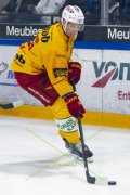 FRIBOURG - TIGERS