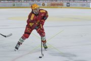 TIGERS - ZSC