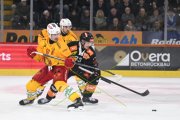 BERN - TIGERS