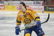 TIGERS - DAVOS