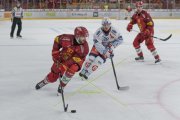TIGERS - ZSC