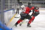 BASEL - OLTEN