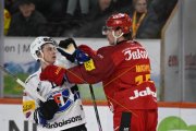 TIGERS - FRIBOURG