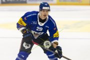 FRIBOURG - TIGERS