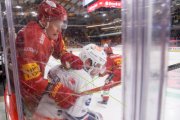 TIGERS - ZSC