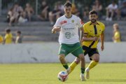 YB - KRIENS