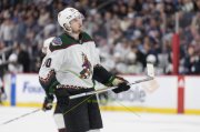 WINNIPEG - ARIZONA