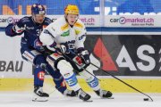 ZSC - AMBRI