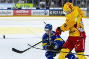 FRIBOURG - TIGERS