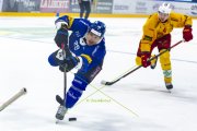 FRIBOURG - TIGERS
