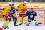 ZSC - TIGERS