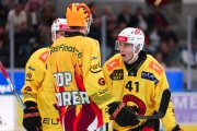 ZSC - BERN