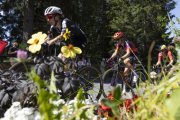 TOUR DE SUISSE WOMEN 2026