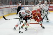 TIGERS - LUGANO