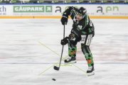 OLTEN - GCK LIONS