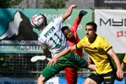 YB - KRIENS