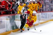 LAUSANNE - TIGERS