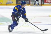 FRIBOURG - TIGERS