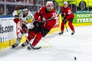 UNGARN - SCHWEIZ
